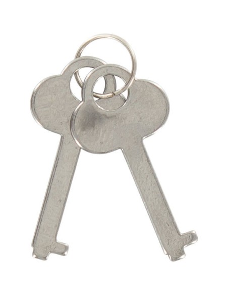ESPOSAS DEL AMOR ZEBRA