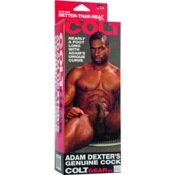 COLT PENE REALISTICO ADAM DEXTER 2