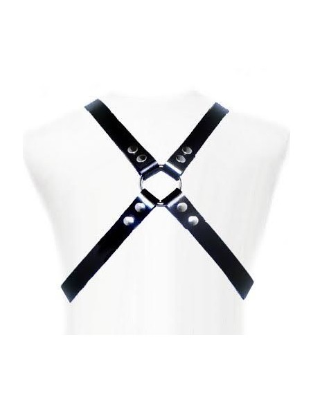 LEATHER BODY BASIC HARNESS