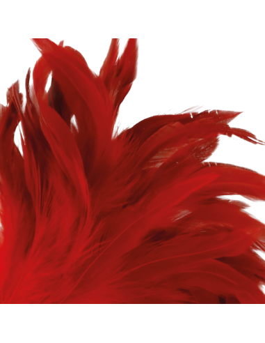 DARKNESS PLUMA ESTIMULADORA ROJO 24CM