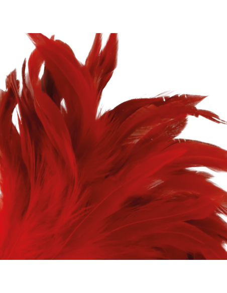 DARKNESS PLUMA ESTIMULADORA ROJO 24CM