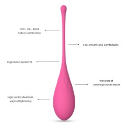 LESLIE KEGEL FIT ENTREGADOR SUELO PELVICO 6PCS 2