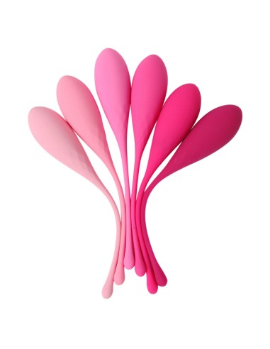 LESLIE KEGEL FIT ENTREGADOR SUELO PELVICO 6PCS