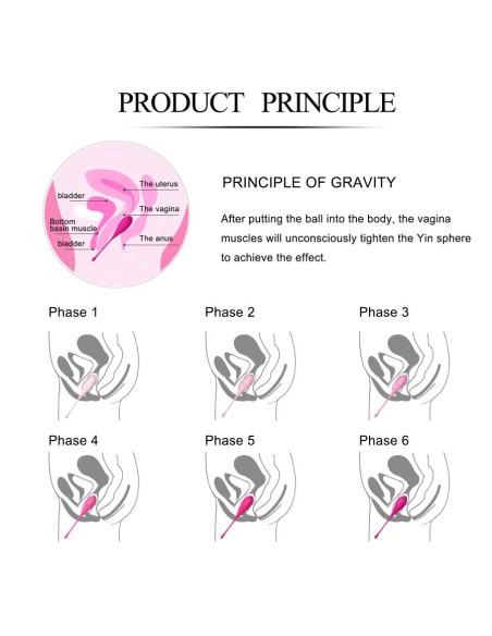 LESLIE KEGEL FIT ENTREGADOR SUELO PELVICO 6PCS LESLIE KEGEL FIT ENTREGADOR SUELO PELVICO 6PCS