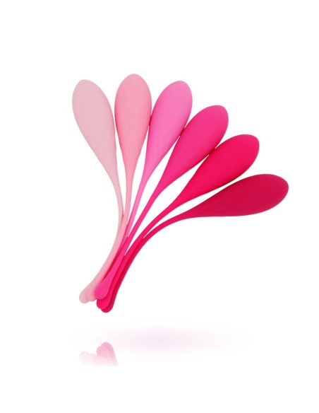 LESLIE KEGEL FIT ENTREGADOR SUELO PELVICO 6PCS LESLIE KEGEL FIT ENTREGADOR SUELO PELVICO 6PCS