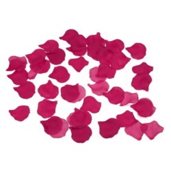 DIABLO PICANTE 100 PeTALOS FUCSIA