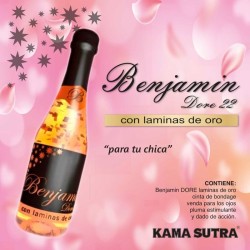 DIABLO PICANTE BENJAMiN DORE PARA TU CHICA 2