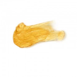 SECRETPLAY PRETTY BUT WILD ACEITE BRILLO CORPORAL MONODOSIS 2