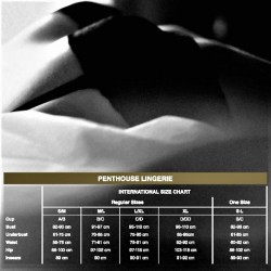 PENTHOUSE NO EXCUSES MEDIAS XL 2