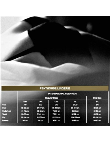 PENTHOUSE CATCH ME PANTIES NEGRO S M