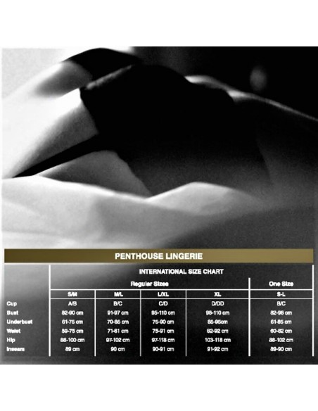 PENTHOUSE CAUTIOUS CAT VESTIDO XL
