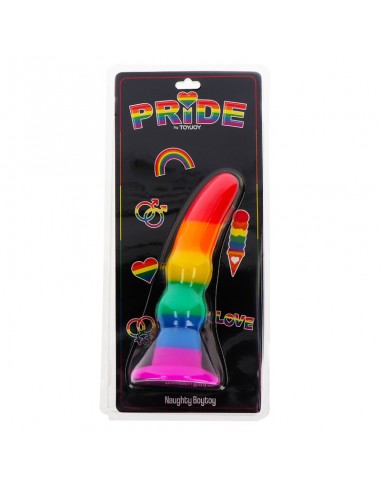 PRIDE PLUG NAUGHTY BOYTOY BANDERA LGBT 16 CM