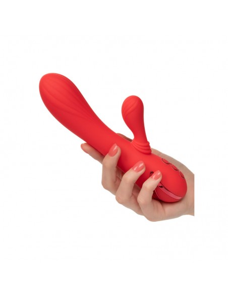 CALEX PALISADES PASSION RED CALEX PALISADES PASSION RED