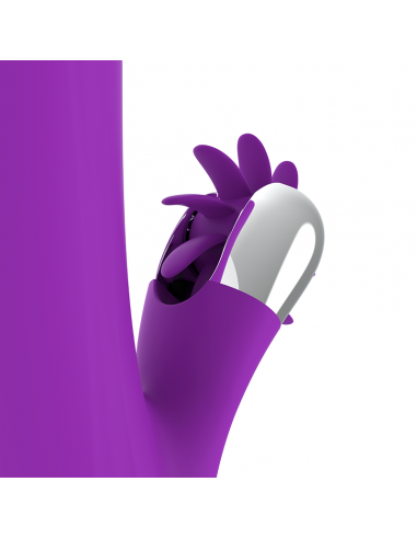 FUN FUNCTION BUNNY FUNNY ROTATION 20