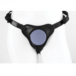 PIPEDREAMS BODY DOCK 2