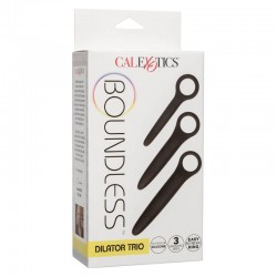CALIFORNIA EXOTICS DILATOR TRIO 2
