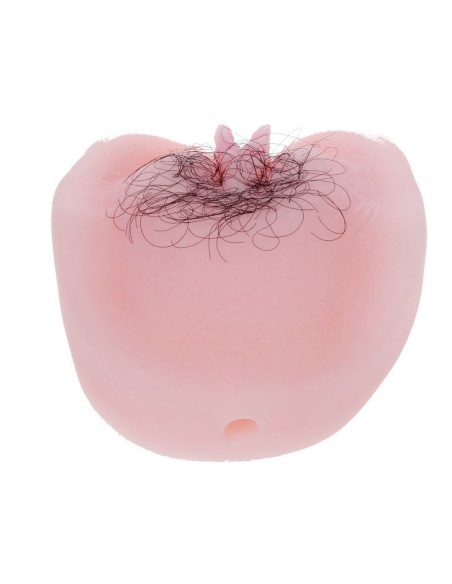 ANTHEA MAGIC FLESH VIBRATON PUSSY IMAGENES ORIENTATIVAS