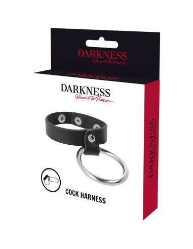 DARKNESS ANILLO DE METAL PARA EL PENE Y TESTiCULOS