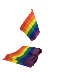 PRIDE BANDERIN PEQUENO BANDERA LGBT