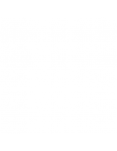 WE VIBE JIVE VIBRADOR PARA PAREJAS 2