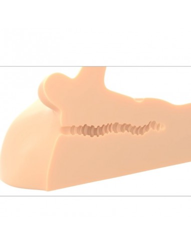 PDX PLUS MASTURBADOR PERFECT RIDE PENE Y ANO