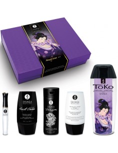 SHUNGA NAUGHTIER KIT