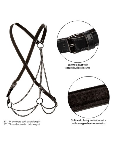 CALEXOTICS EUPHORIA ARNAS DE MALTIPLES CADENAS PREMIUM