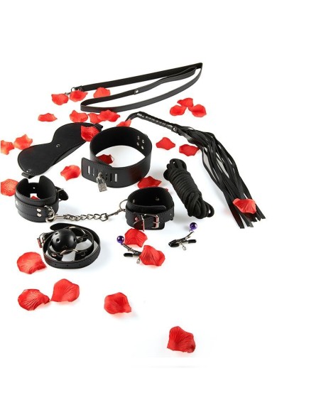 TOYJOY JUST FOR YOU BDSM STARTER KIT