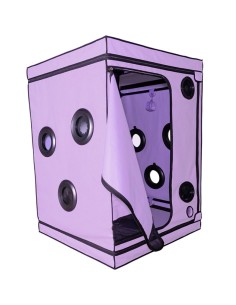 SECRET DOME KINK CLUB CABINA SCANDALE MORADO 2