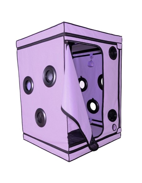 SECRET DOME KINK CLUB CABINA SCANDALE MORADO