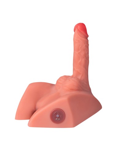 XISE MICHAEL MASTURBADOR DILDO Y ANO REALASTICO CON THRUSTING 15 CM