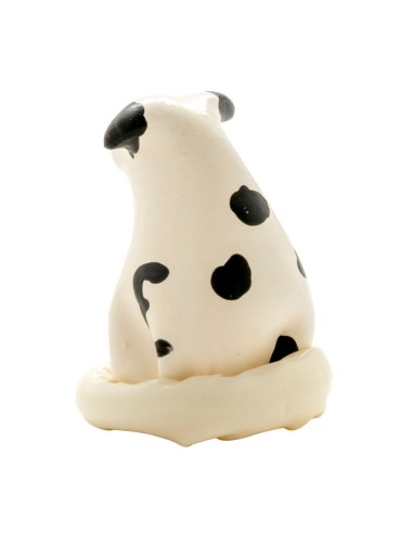 CONDOMERIE PRESERVATIVO DECORATIVO PINTADO A MANO PERRO DALMATA