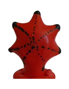 CONDOMERIE PRESERVATIVO DECORATIVO PINTADO A MANO ESTRELLA DE MAR