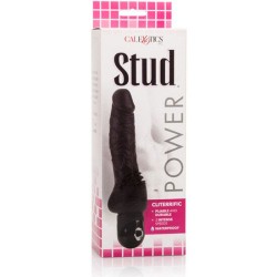 CALEX POWER STUD CLITERRIFIC VIBRADOR NEGRO 2