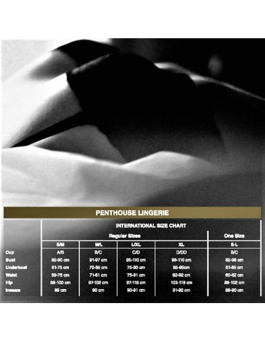 PENTHOUSE SCANDALOUS TEDDY BLANCO XL