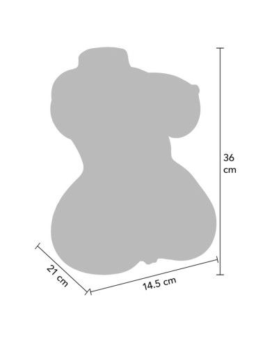HIDDEN DESIRE JUICY DOUBLE D MASTURBADOR VAGINA Y ANO 5 KG