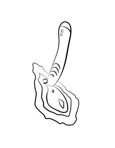 ROMP HYPE VIBRADOR PUNTO G MULTIFUNCIAN ROJO