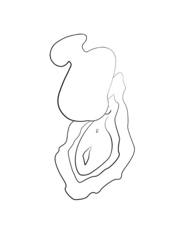 ROMP KISS SUCCIONADOR DE CLATORIS VIBRADOR DE DEDO RECARGABLE